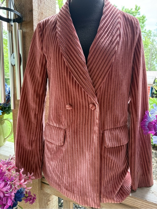 Nasty Gal Jackets & Blazers - Nasty Gal Collection Pink Crushed Velvet Ribbed Double Breasted Lined Blazer NWT